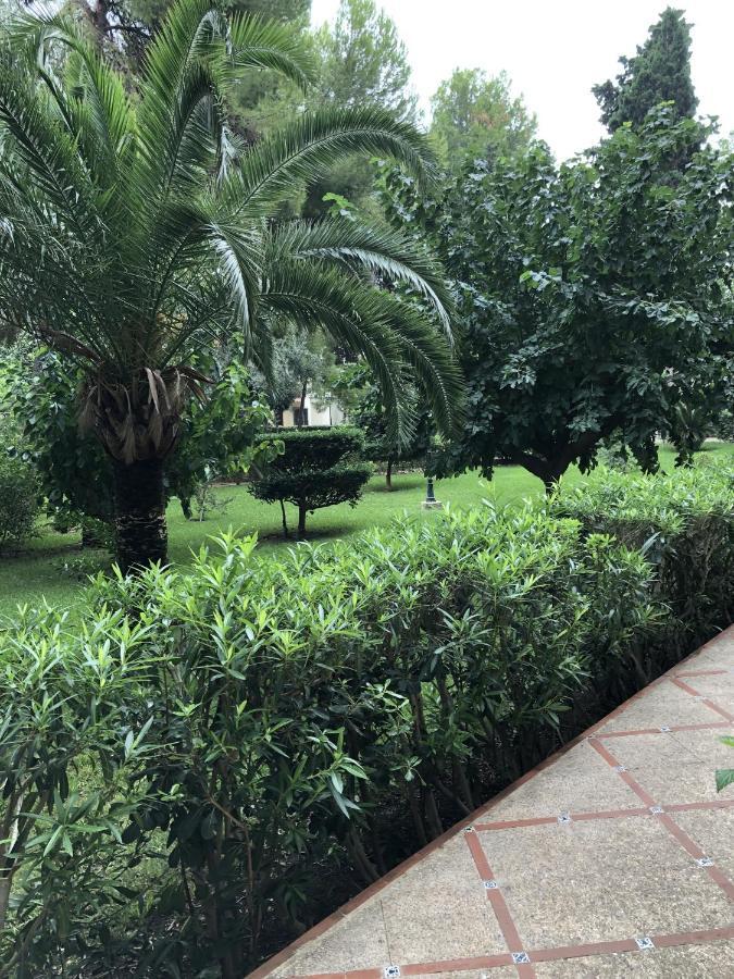 Apartamento Parque 2 Playa De Gandia 外观 照片